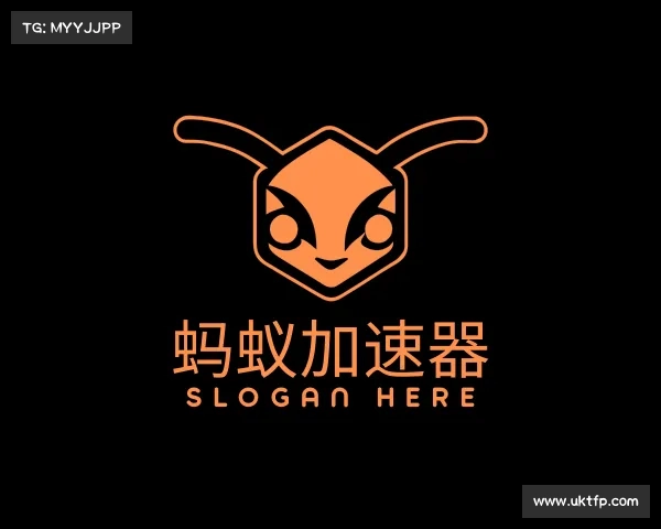 关于蚂蚁加速器